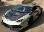 Lamborghini Huracan LP580 / LP610 V-Style Forged Carbon Mudguard (Fender) Upgrade